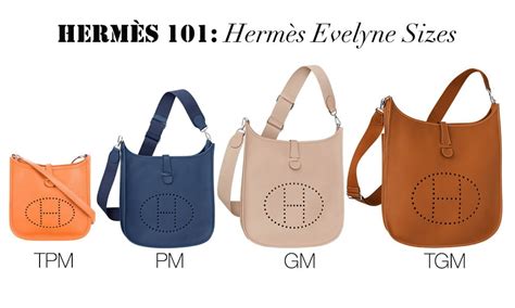 valise hermes|Hermes evelyne bag.